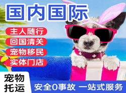 朔州滋润航空快运国际宠物托运 【国